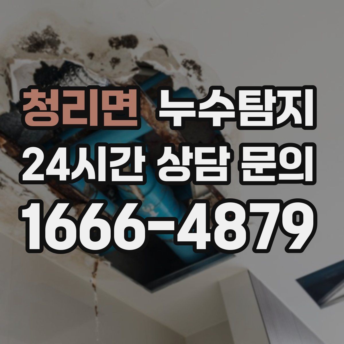 청리면 누수탐지 바닥 난방 존별 점검 체험