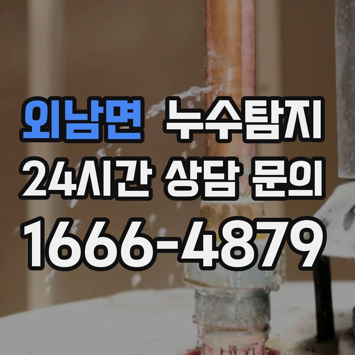 외남면 누수탐지 가구 뒤 곰팡이 원인 파헤치기