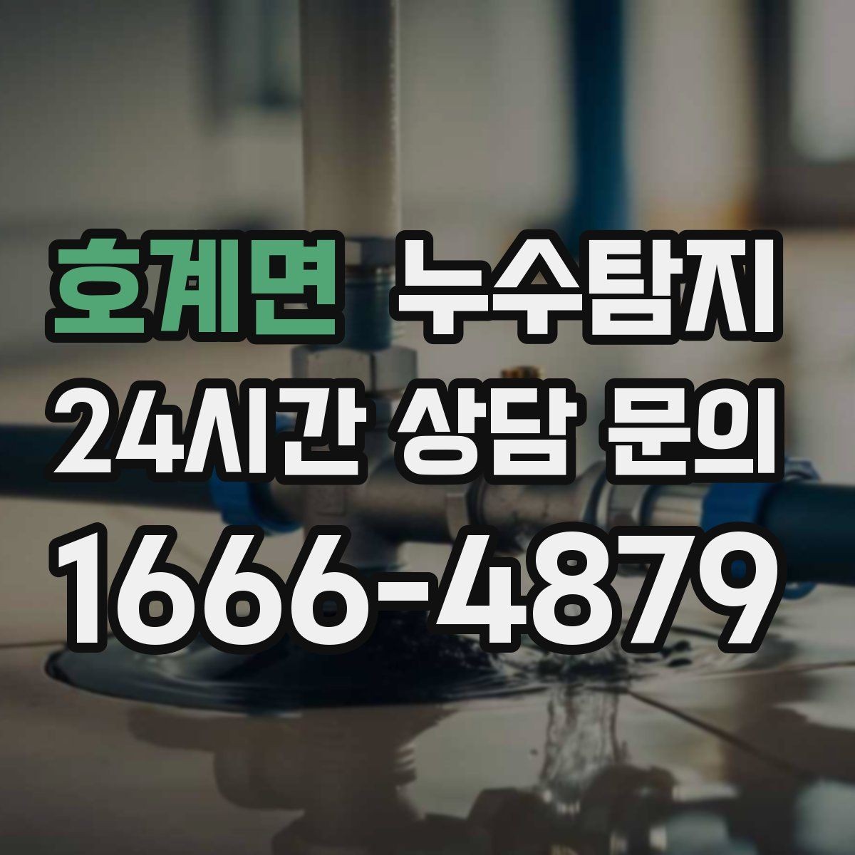 호계면 누수탐지 주방 벽면 얼룩 실전 대응기