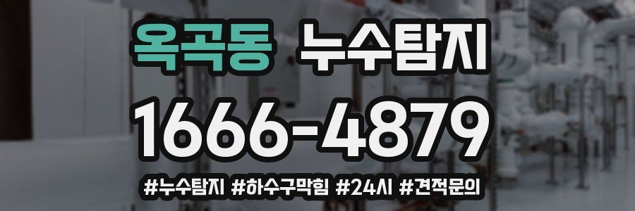 누수닥터 누수탐지