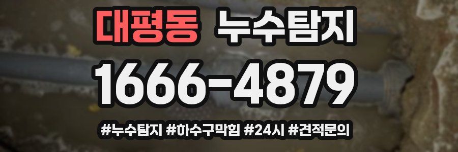 누수닥터 누수탐지