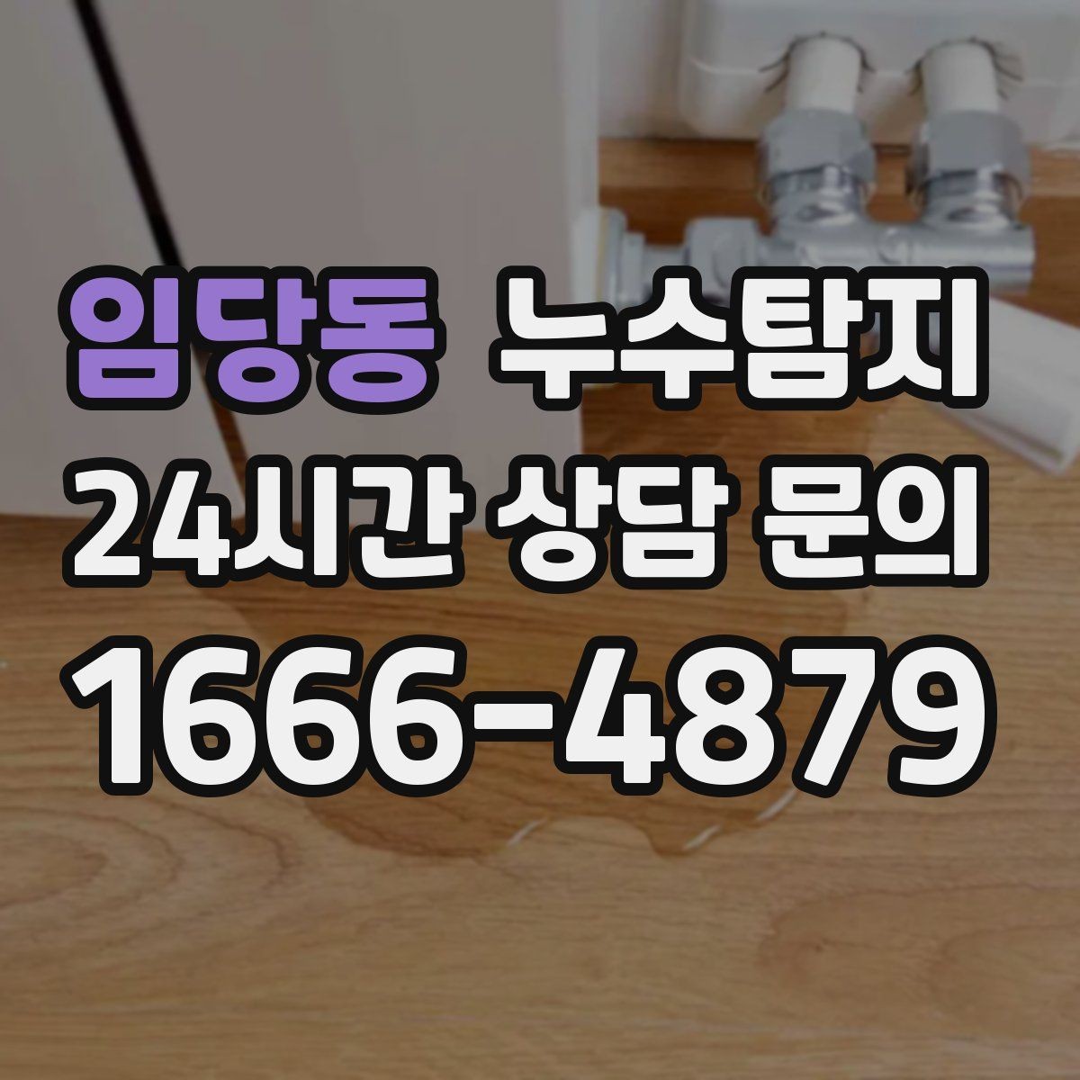 임당동 누수탐지 빌라에서 자주 겪는 문제