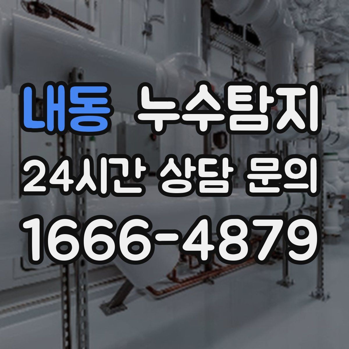 내동 누수탐지 현관 바닥 습기 원인 제거