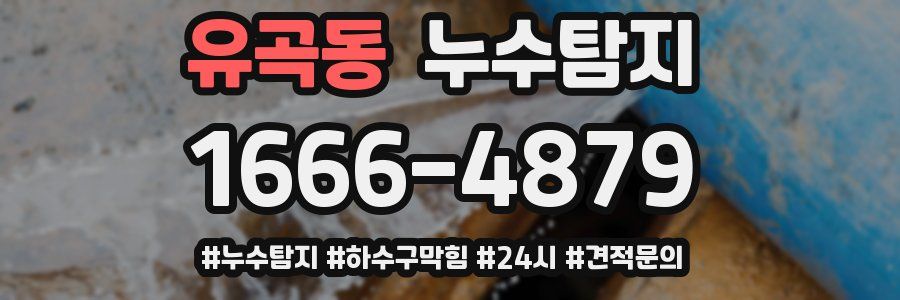 누수닥터 누수탐지