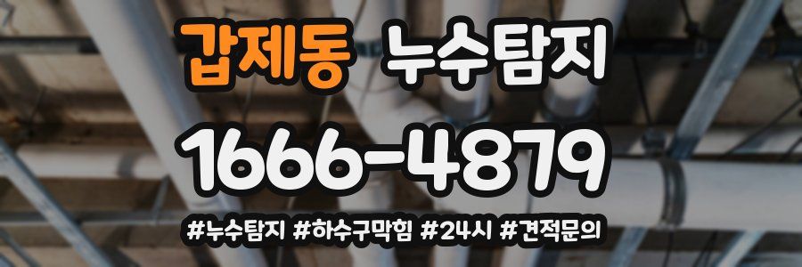 누수닥터 누수탐지