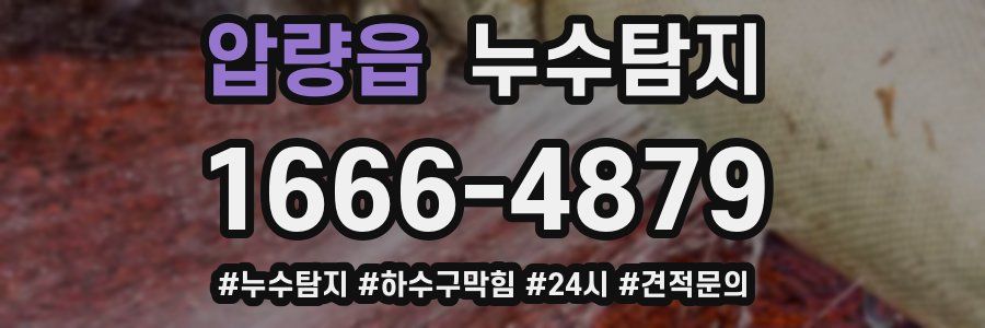 누수닥터 누수탐지