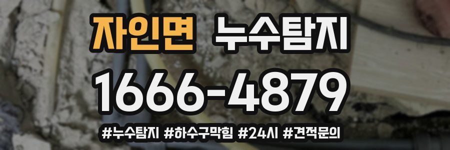 누수닥터 누수탐지