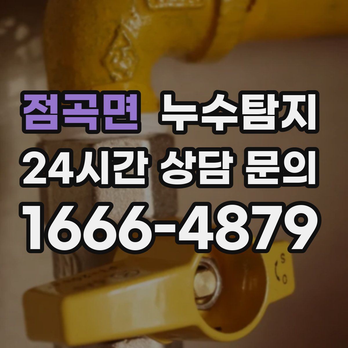 점곡면 누수탐지 문제로 고민이라면