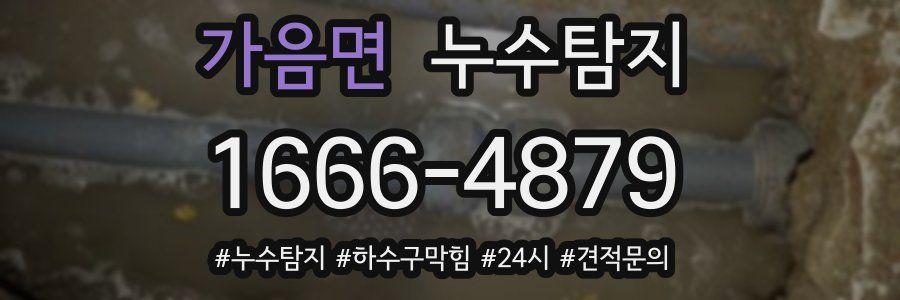 누수닥터 누수탐지
