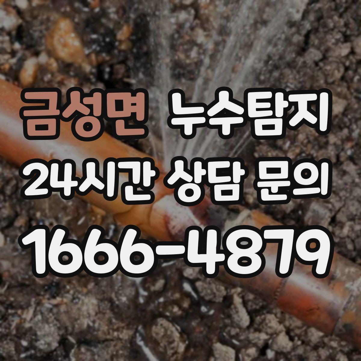 금성면 누수탐지 예약부터 복구까지 전 과정 케어