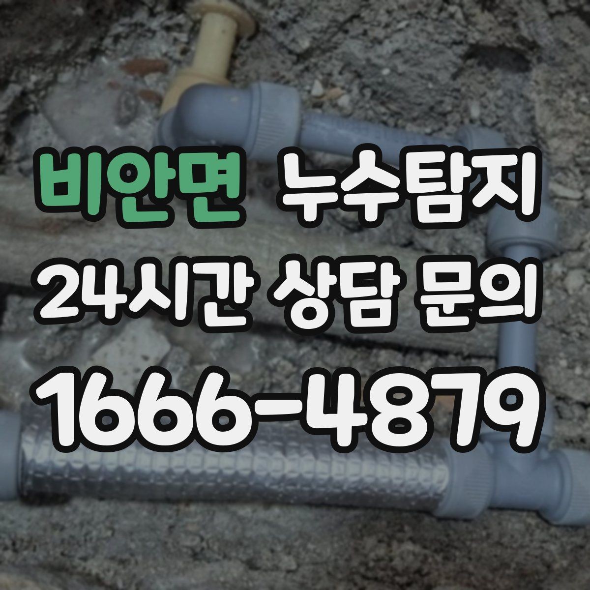 비안면 누수탐지 창고 곰팡이 제거와 재발 방지