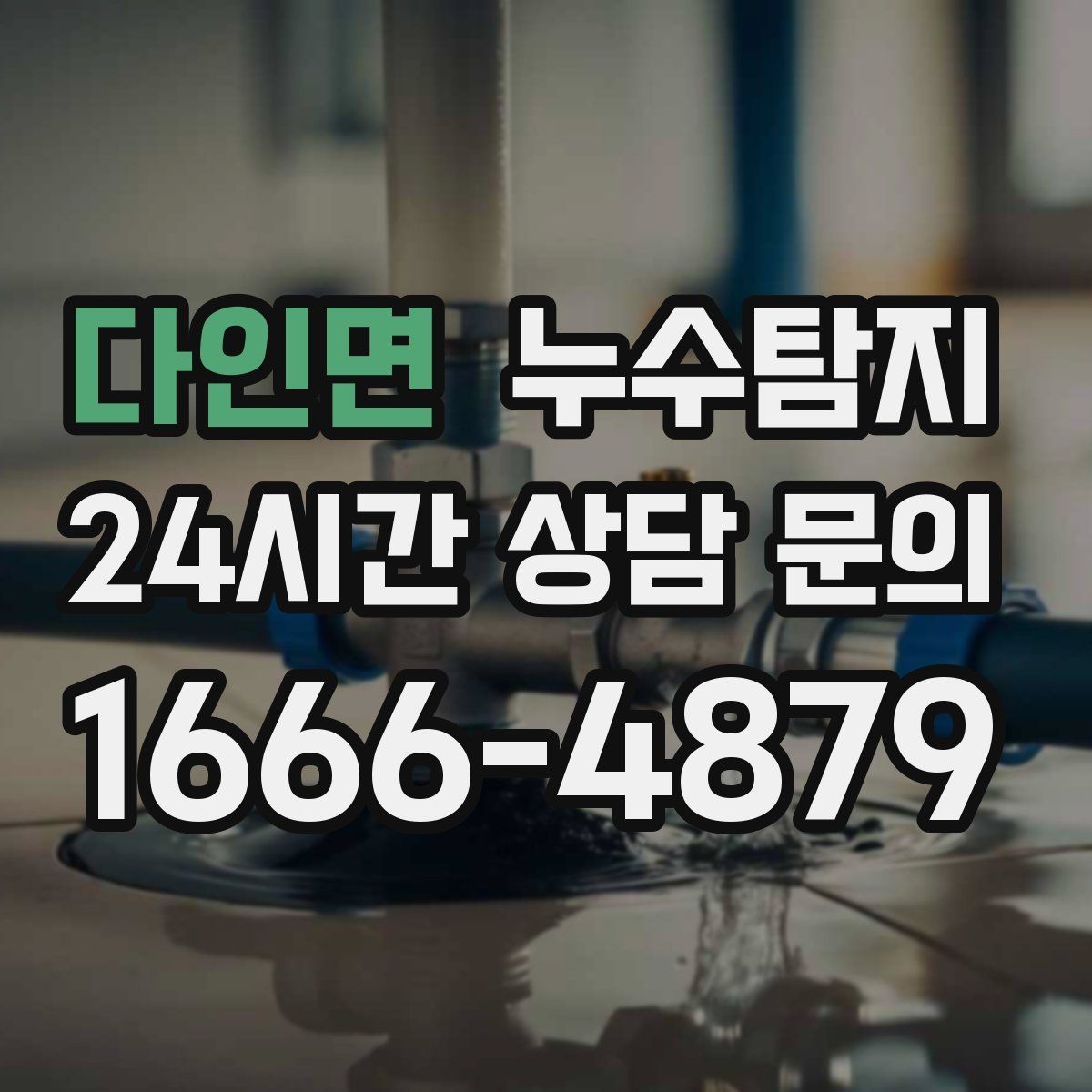 다인면 누수탐지 가구 뒤 곰팡이 원인 파헤치기