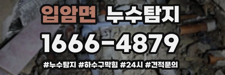 누수닥터 누수탐지
