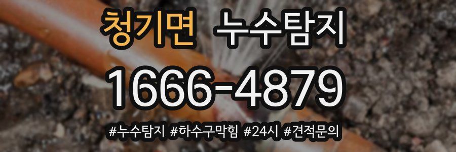 누수닥터 누수탐지