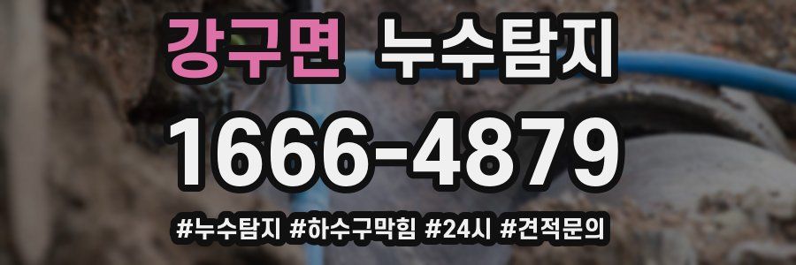 누수닥터 누수탐지