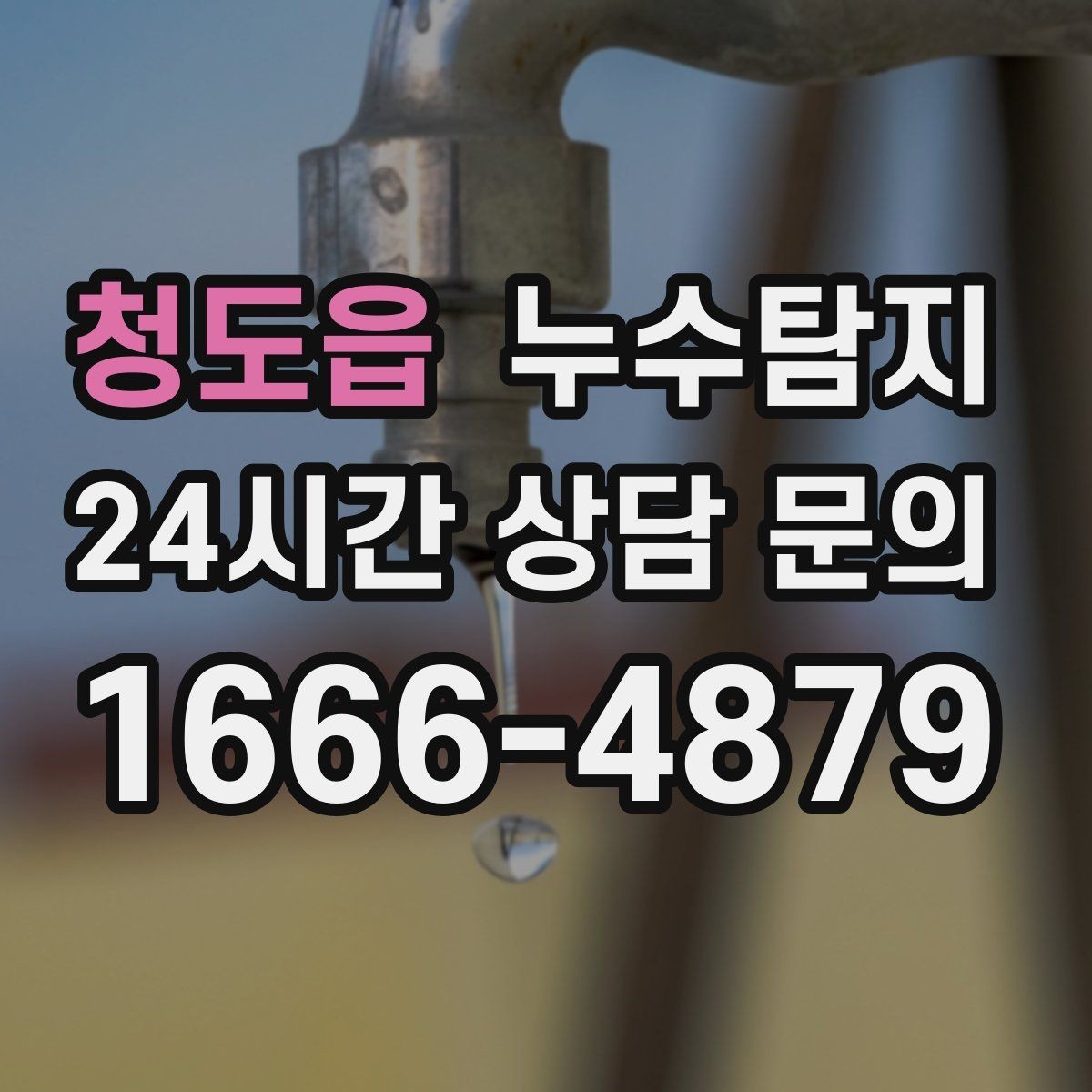 청도읍 누수탐지 벽지 들뜸 빠른 진단 노하우