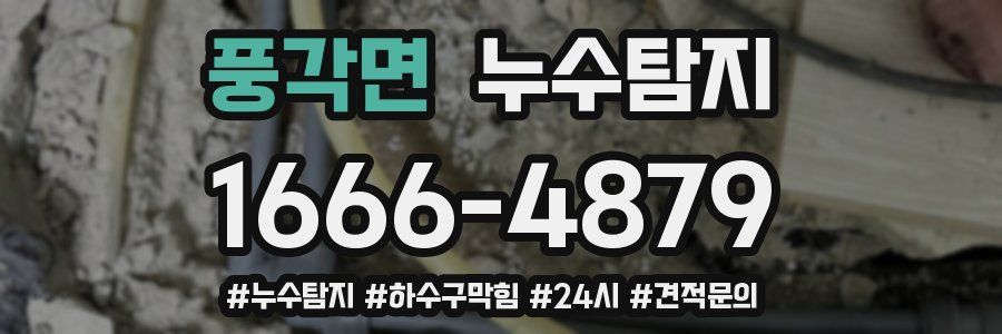 누수닥터 누수탐지