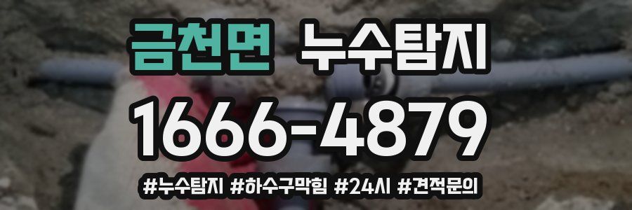 누수닥터 누수탐지