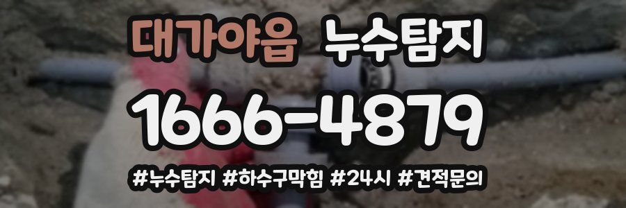 누수닥터 누수탐지
