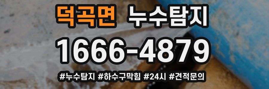 누수닥터 누수탐지