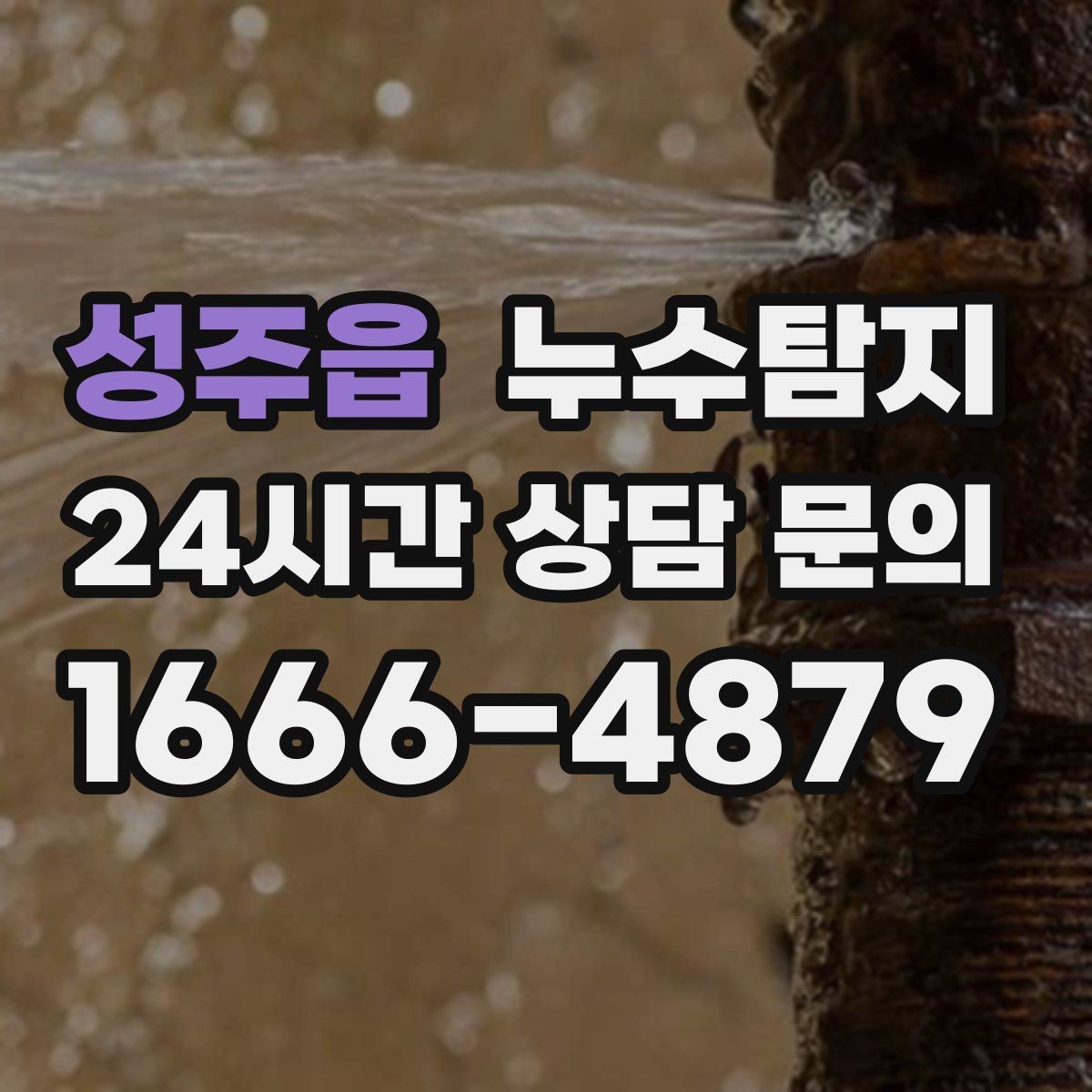 성주읍 누수탐지 현관 타일 습기 해결 과정
