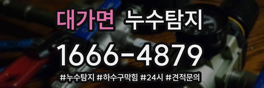 누수닥터 누수탐지