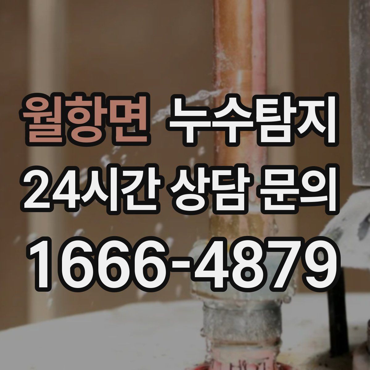 월항면 누수탐지 신속 정확한 서비스를 만나보세요