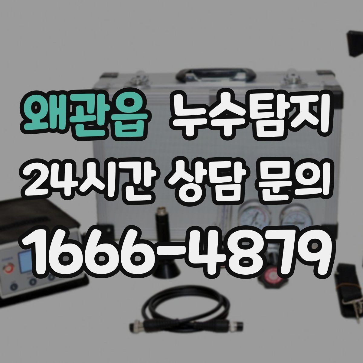 왜관읍 누수탐지 리모델링 일정 지킨 대응