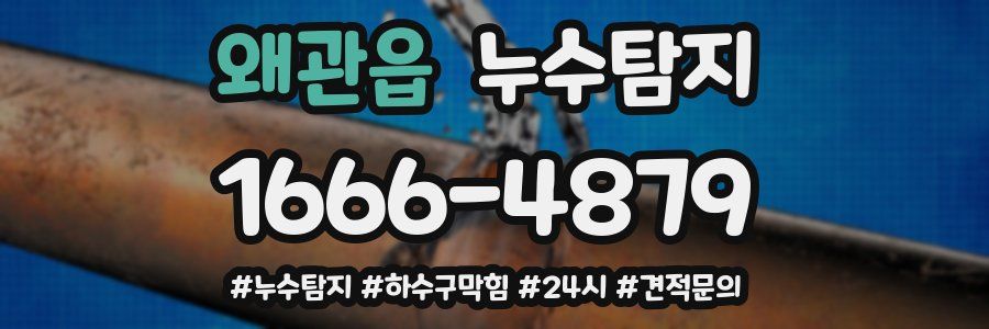 누수닥터 누수탐지