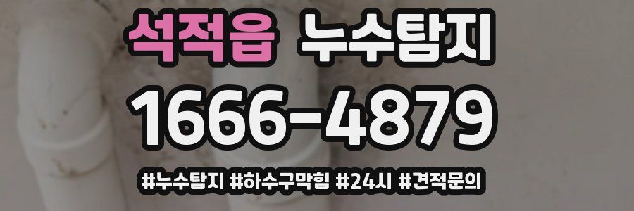 누수닥터 누수탐지