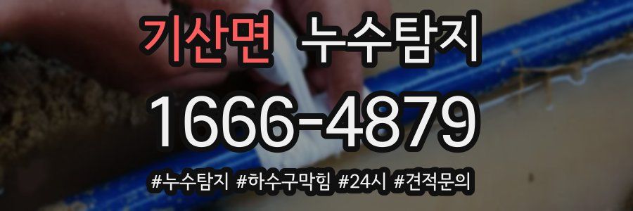 누수닥터 누수탐지
