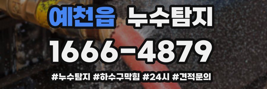 누수닥터 누수탐지
