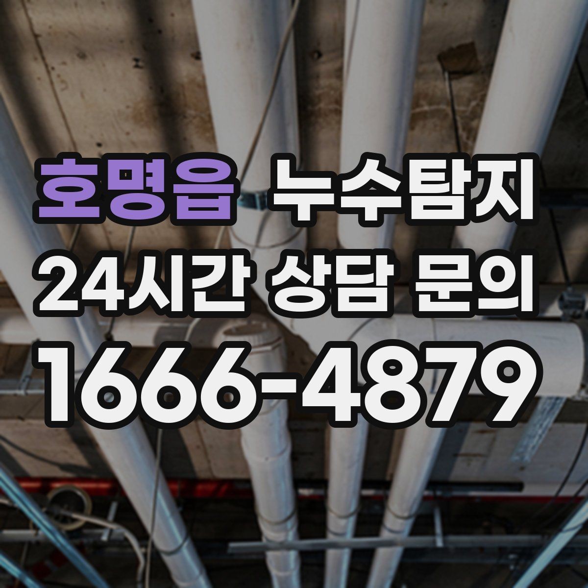 호명읍 누수탐지 곰팡이 악취 원인 진단