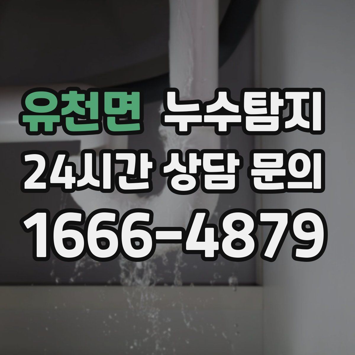 유천면 누수탐지 아이와 반려동물을 위한 안전 점검