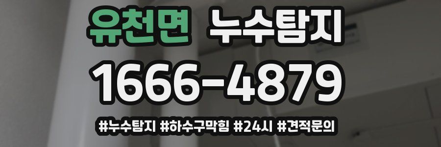 누수닥터 누수탐지