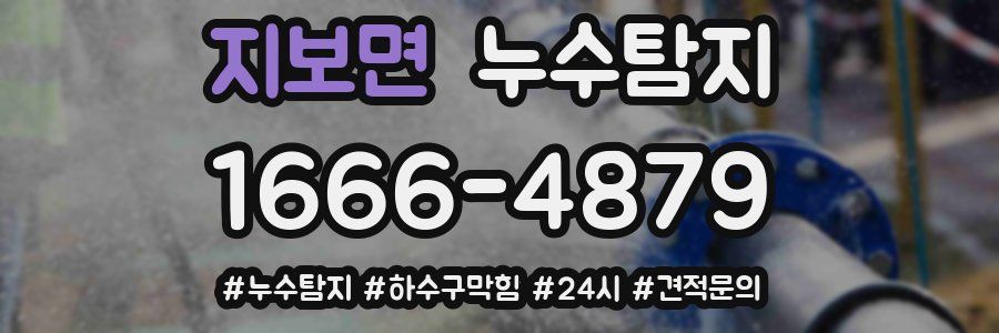 누수닥터 누수탐지