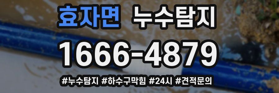 누수닥터 누수탐지