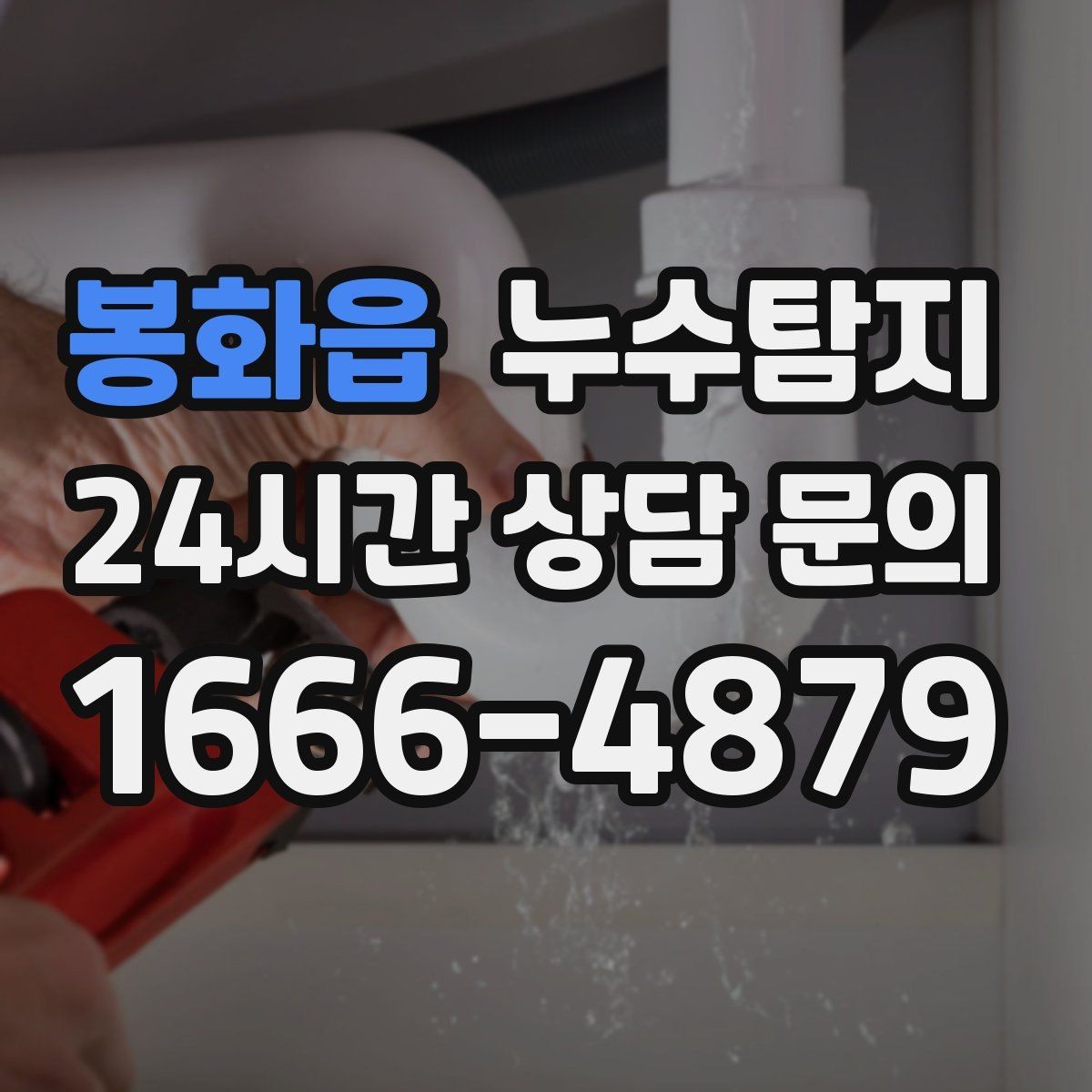 봉화읍 누수탐지 빠른 방문으로 막은 2차 피해