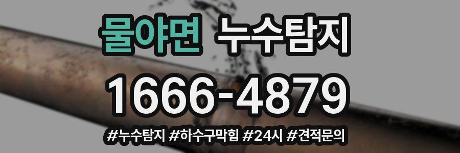 누수닥터 누수탐지