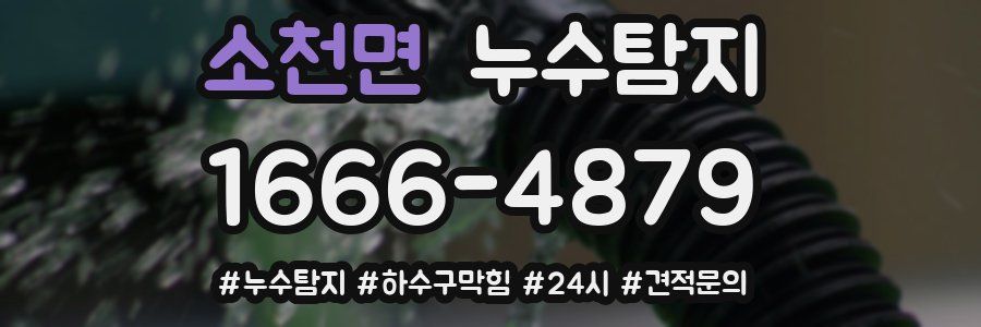 누수닥터 누수탐지