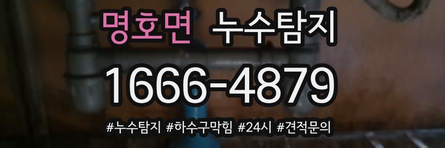 누수닥터 누수탐지