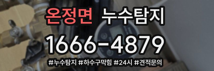 누수닥터 누수탐지