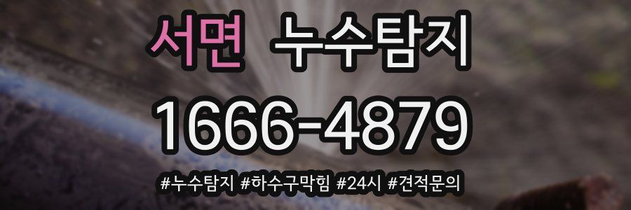 누수닥터 누수탐지