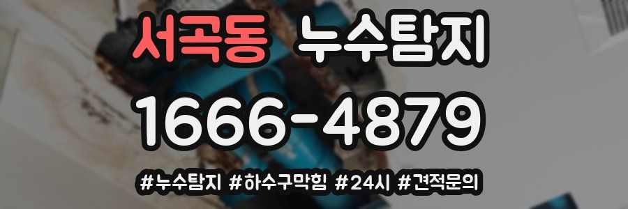 누수닥터 누수탐지