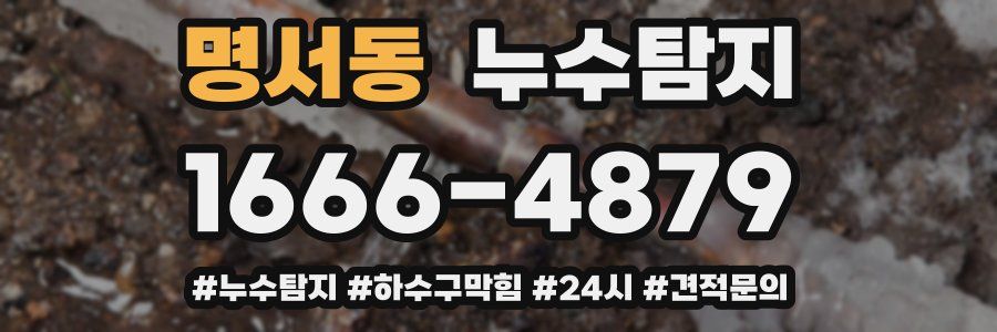 누수닥터 누수탐지
