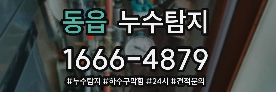 누수닥터 누수탐지
