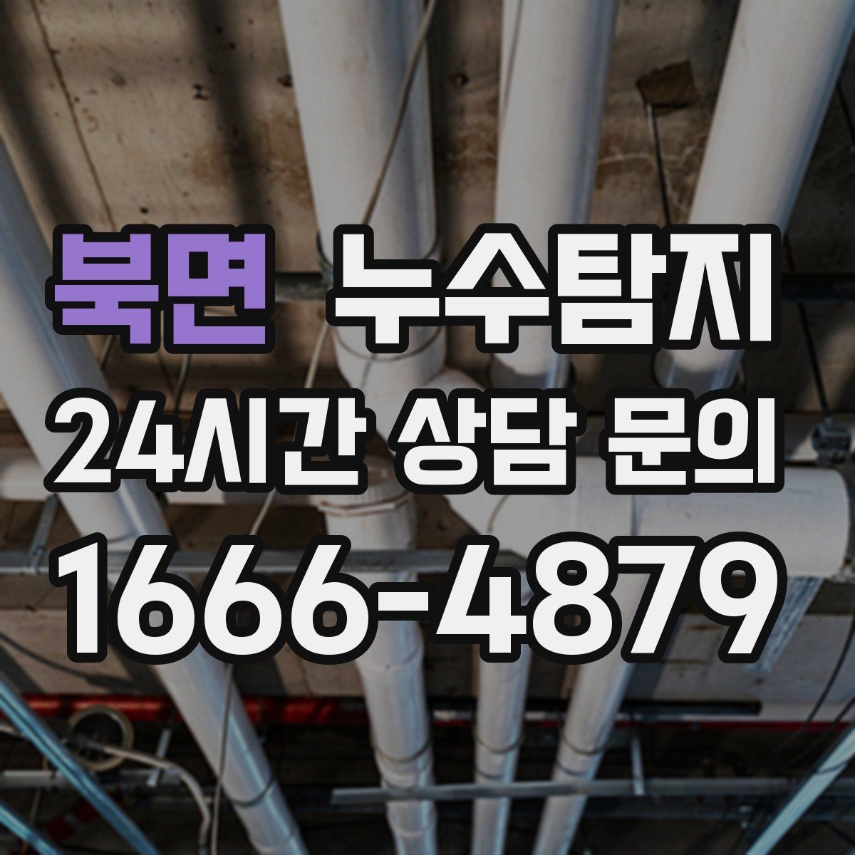 북면 누수탐지 샤워부스 하부 물고임 해결