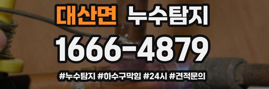 누수닥터 누수탐지