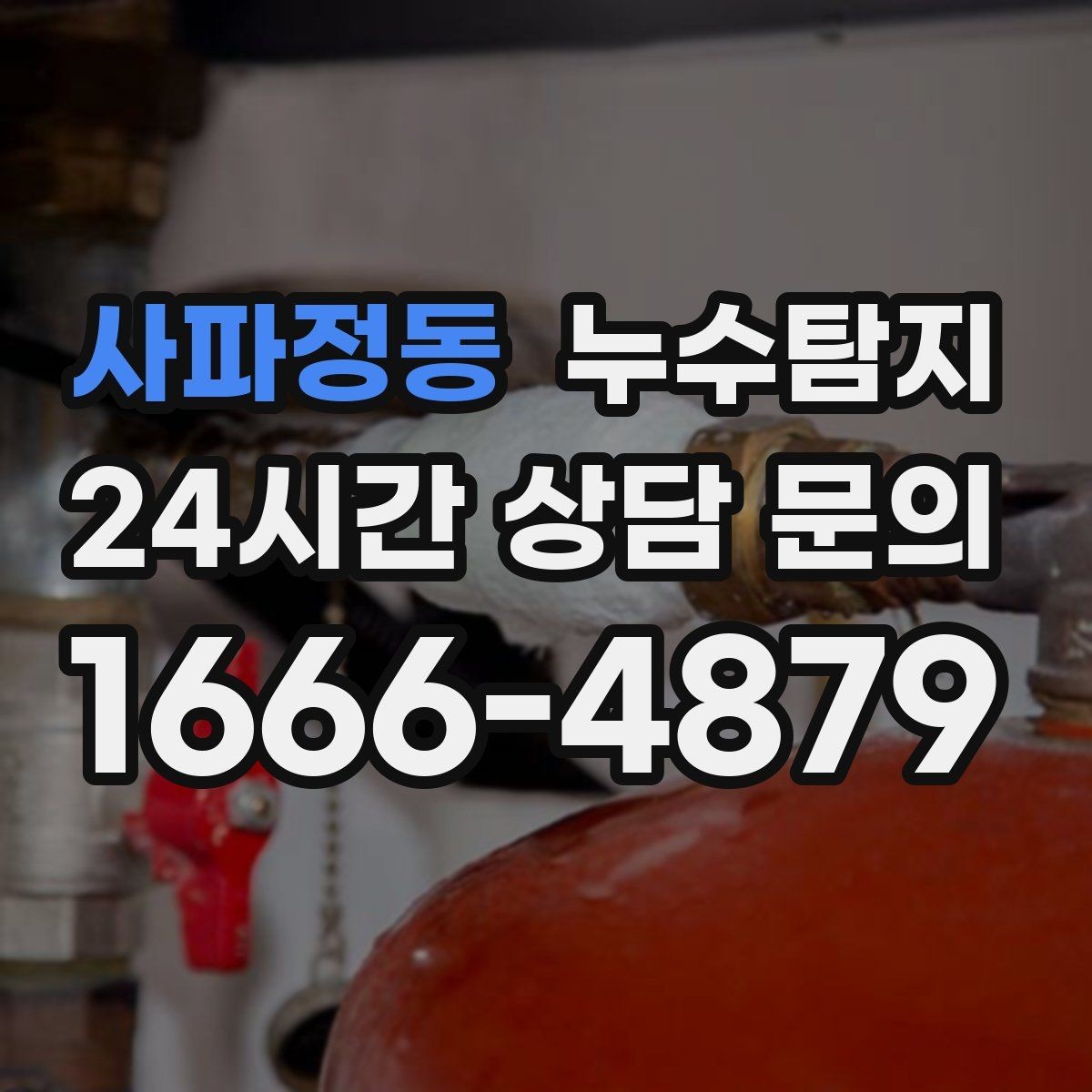 사파정동 누수탐지 해결 빠르면 빠를수록 좋습니다