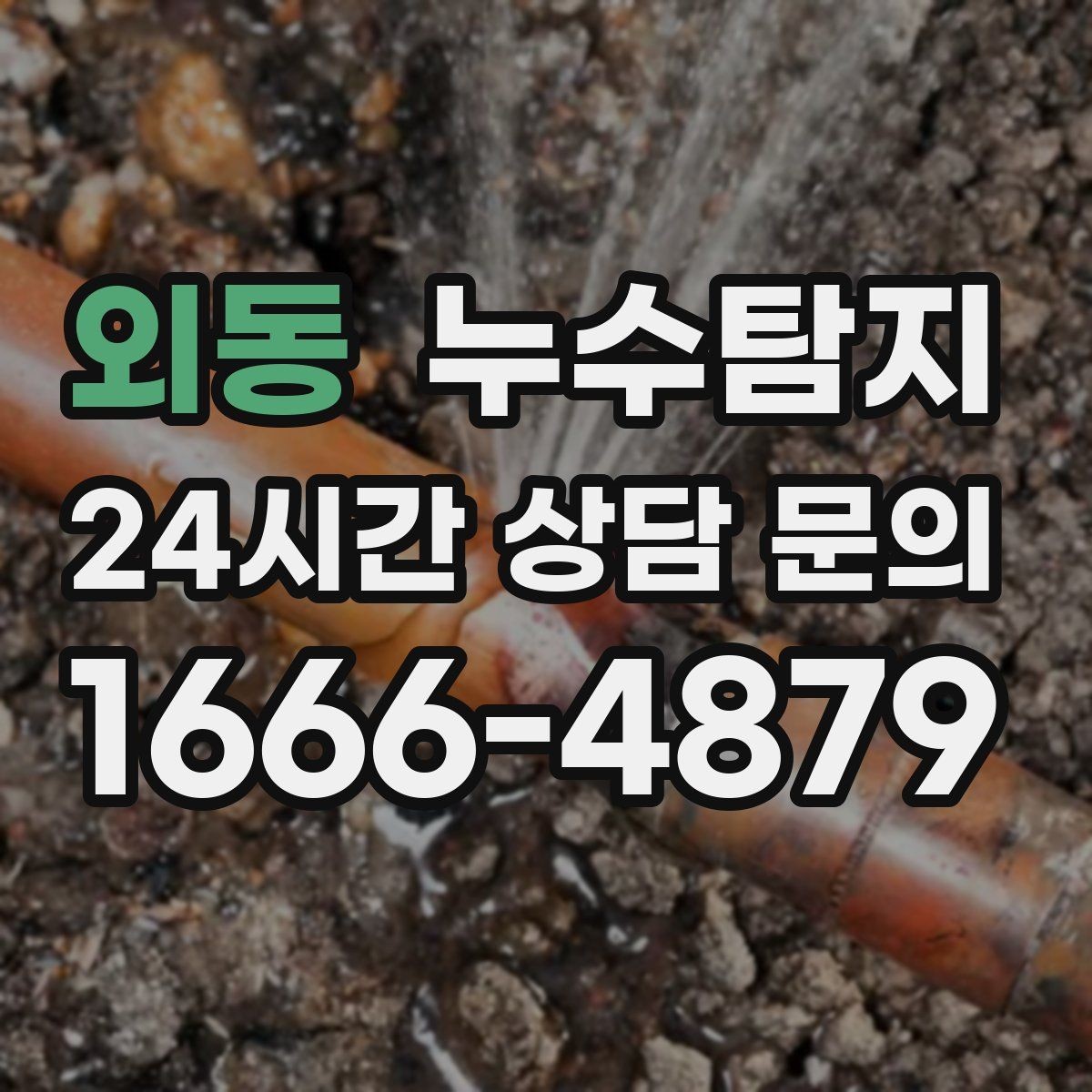 외동 누수탐지 공실 관리 정기 점검 운영기